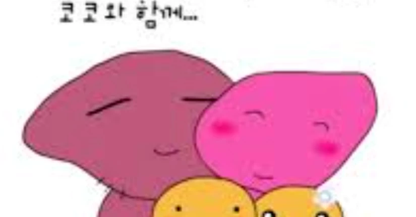 크리스토퍼 코코 논란